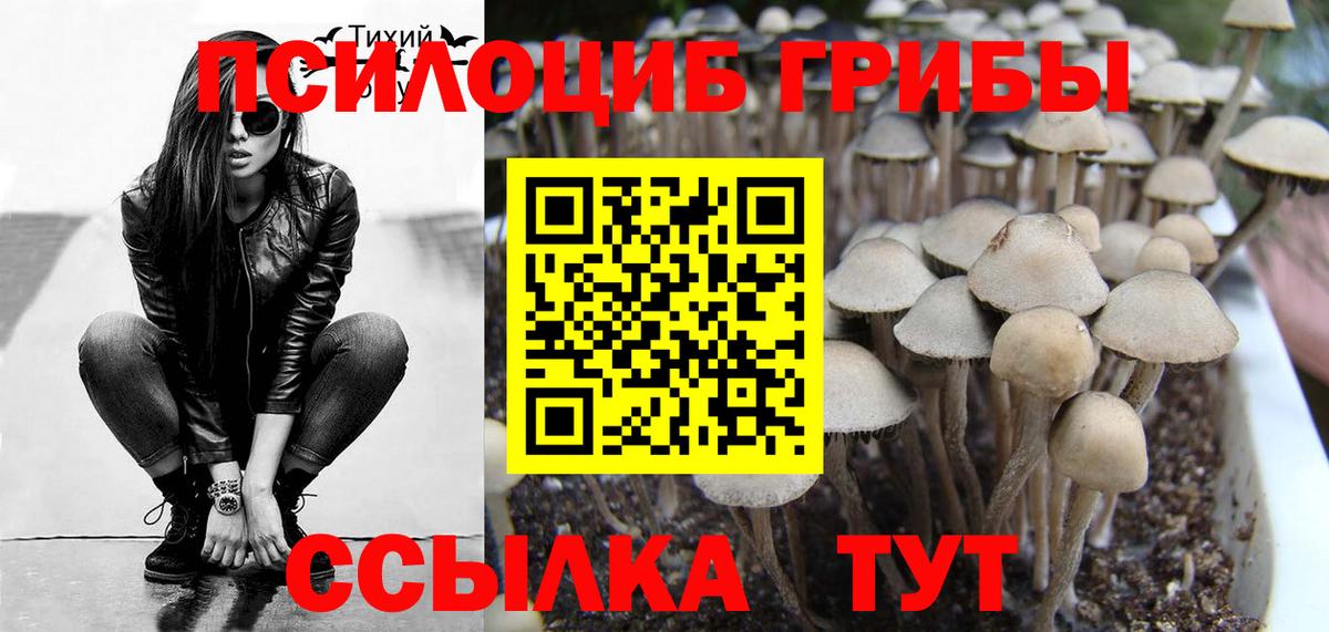 Псилоцибиновые грибы Magic Shrooms  купить наркотики сайты  Галлюциногенные грибы мухоморы  Магнитогорск  Вход с VPN 