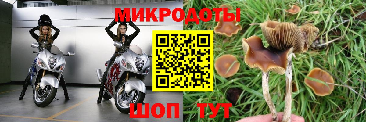 Галлюциногенные грибы прущие грибы Магнитогорск